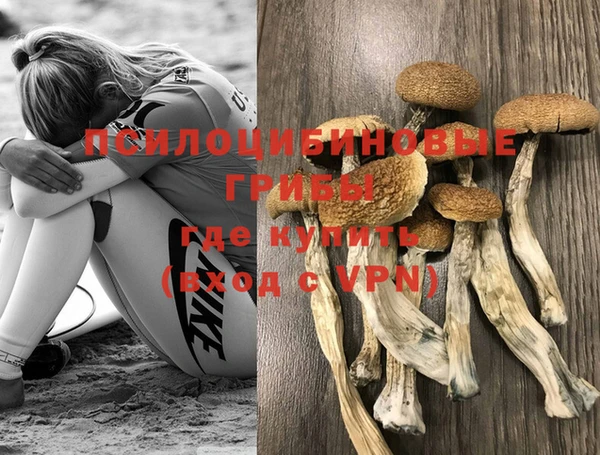 круглые Бородино