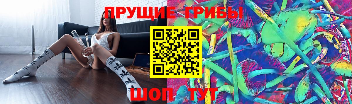 наркота  Псилоцибиновые грибы Magic Shrooms  Вход с VPN  Бузулук  Галлюциногенные грибы ЛСД 