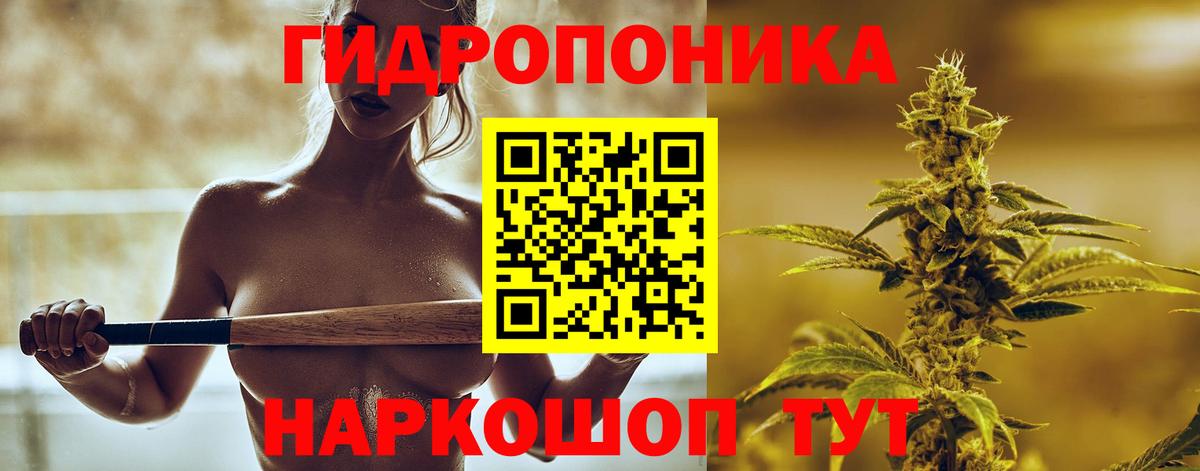 Бошки Шишки планчик Бузулук